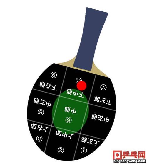 【教学】《全民解答》第99集:乒乓球底板不同甜区分别