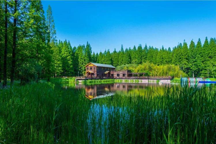 江南·盐城笔会 | 心灵间流淌着一条精神大河——东台黄海森林公园纪