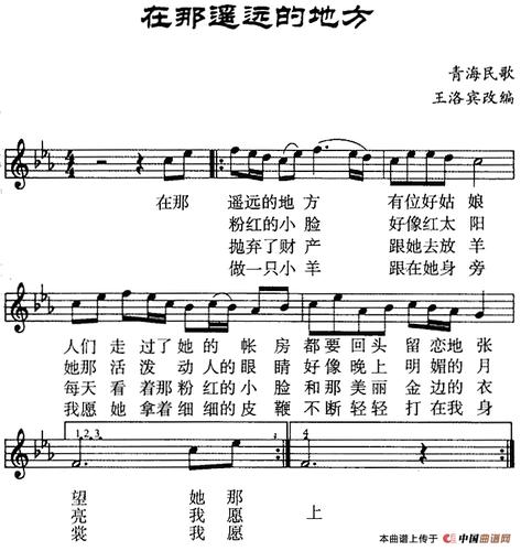 在那遥远的地方(线谱)二胡谱_找歌谱网