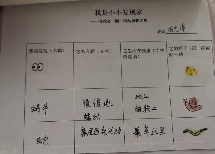 "爬"的动物,宝贝们还当了一回"我是小小调研家",制作"谁会爬"的调查表