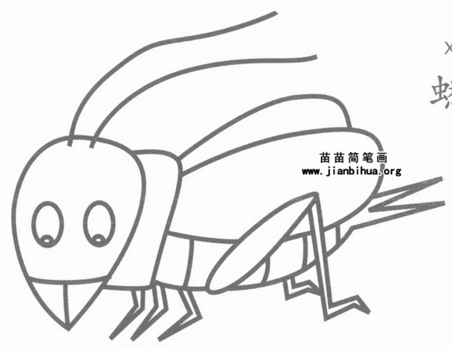 蟋蟀简笔画图片大全