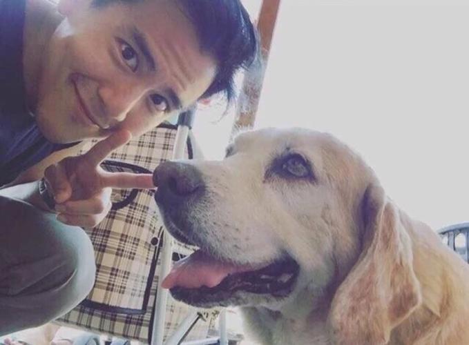 彭于晏-堆糖,美好生活研究所