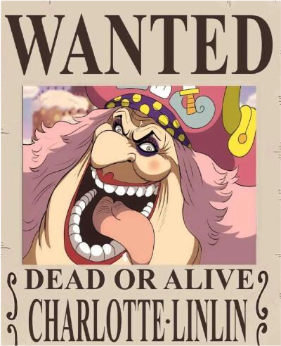 海贼王悬赏令排名最新一集