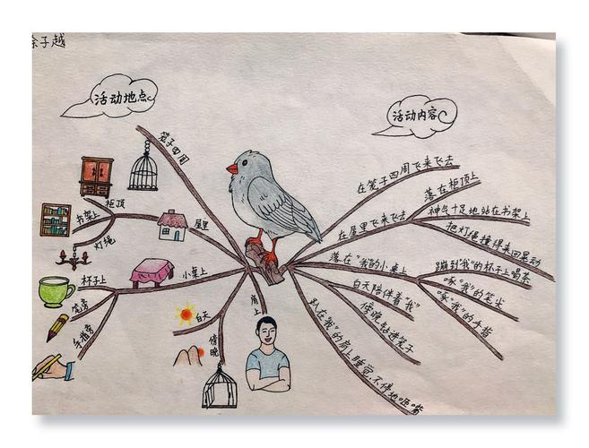 《珍珠鸟》之思维导图