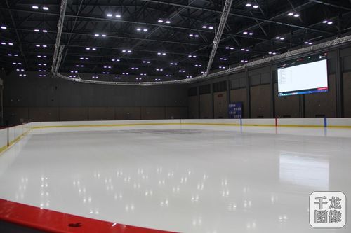 国家花样滑冰,短道速滑,冰壶三支队伍共计160余人,先后"驻扎"首钢园区