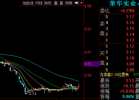 荣华实业600311股票行情分析 空头情绪仍主导股价