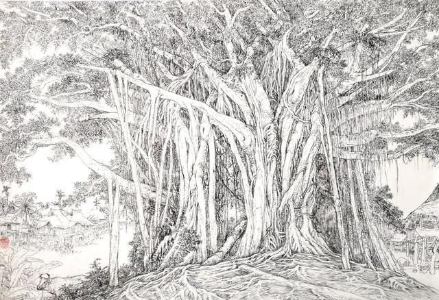 顾雪亮  《大榕树》 钢笔画