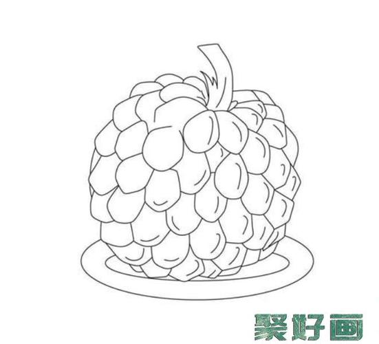 佛陀果释迦果简笔画图片怎么画简笔画教程