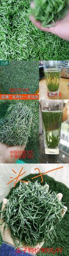 特价 贵州绿茶 竹叶 厂家批发直销散装 湄潭茶叶2018新茶青针