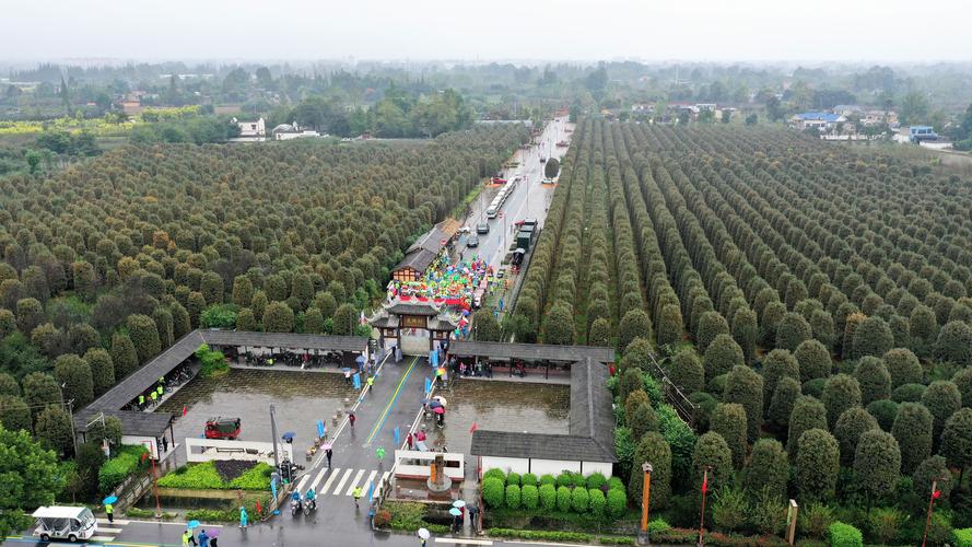 绿动成都能量跑(唐昌镇先锋村)