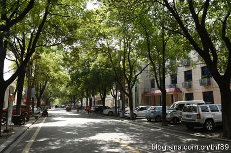 枝江园林掠影(8)胜利路和团结路