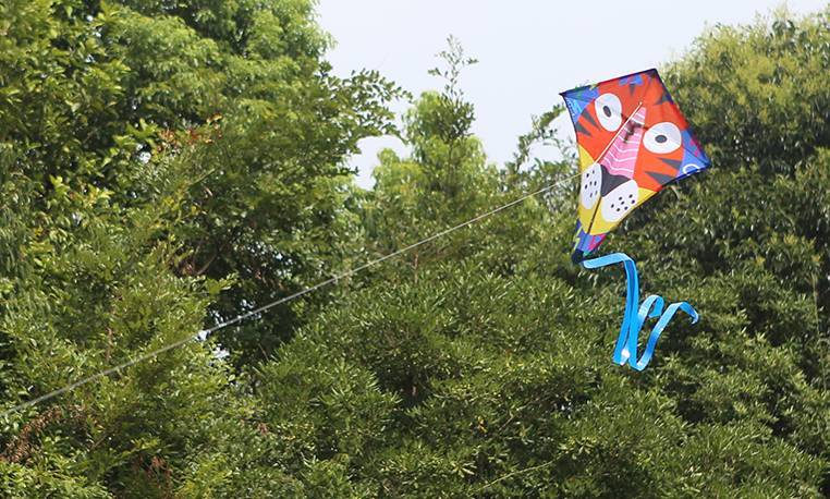 【新品试用】是风筝,也是童年