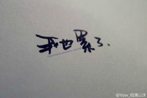 撑不住的时候,可以对自己说声:"我好累".