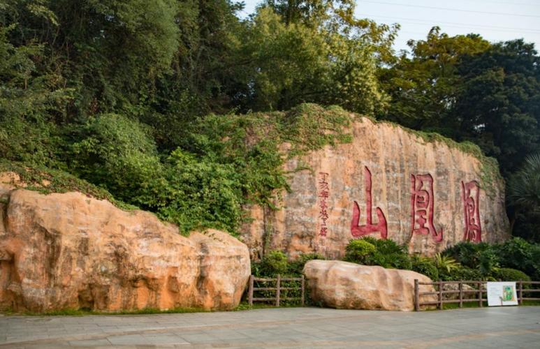 深圳凤凰山森林公园在哪里