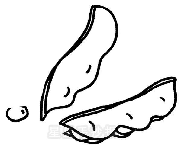 豆角简笔画怎么画