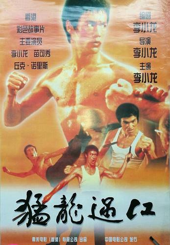 猛龙过江 猛龙过江的海报