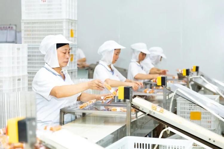 就是现在盼盼食品长汀工厂直播首秀百万红包雨等你来抢