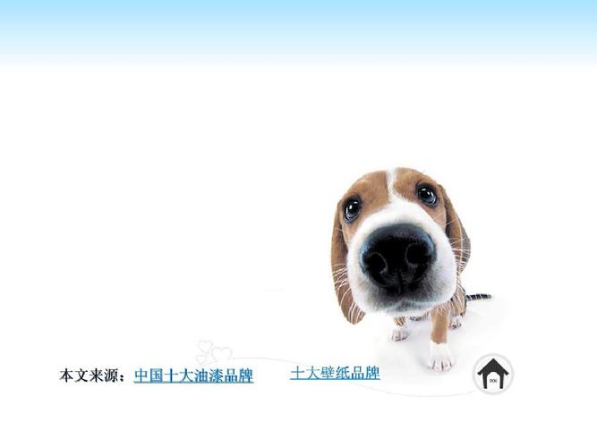 可爱宠物狗狗ppt模版