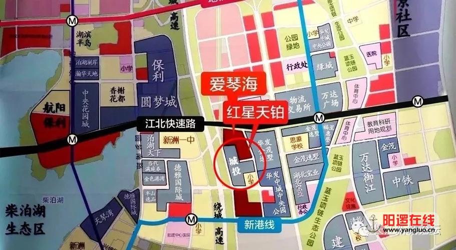 武汉城投阳逻地块规划调整