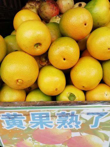 游览黄果树景区