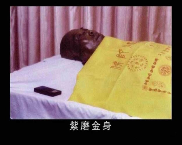 7. 宣化上人圆寂时现紫磨金身