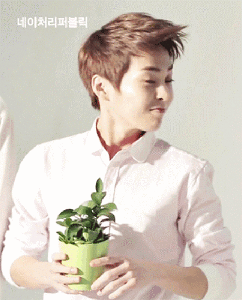 金秀敏gif说话gif植物gif摇头gif萌gif