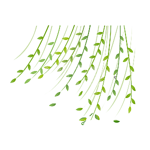 嫩芽