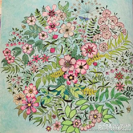 由英国著名插画家乔汉娜·贝斯福创作的一本手绘涂色书《秘密花园》