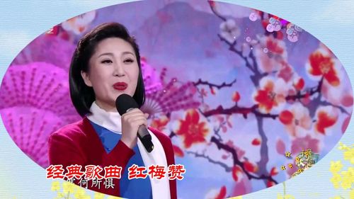 经典 b>歌曲 /b>《 b>红梅赞 /b>》