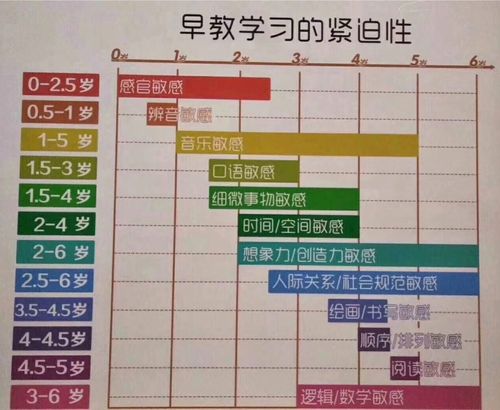 科学早教,快乐成长 ——睿光智爱儿童成长中心