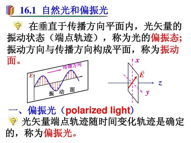 大学物理课件6光的偏振