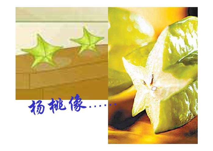 画杨桃ppt
