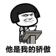 关于骄傲的斗图表情包合集