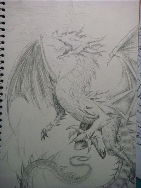 有谁能发几张霸气的西方龙图片给我,要铅笔画的,尽量清晰一点大概找了