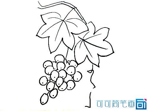 秋天的果实简笔画大全