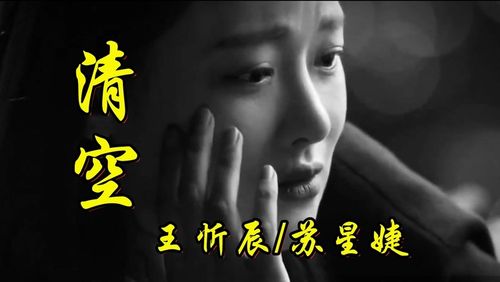 清空 - 王忻辰/苏星婕 山鸟与鱼不同路 必火的一首对唱情歌