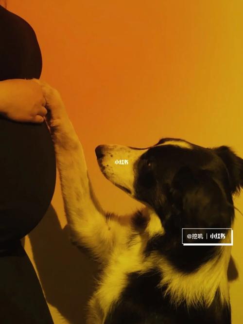 孕期 | 在家自拍孕妇照 多少周发朋友圈合适_孕妇照_孕期_朋友圈_自拍