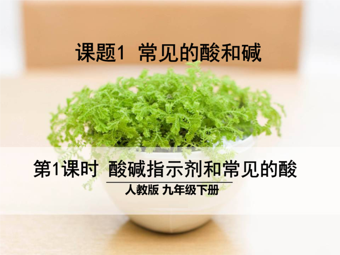 第1课时酸碱指示剂和常见的酸.ppt
