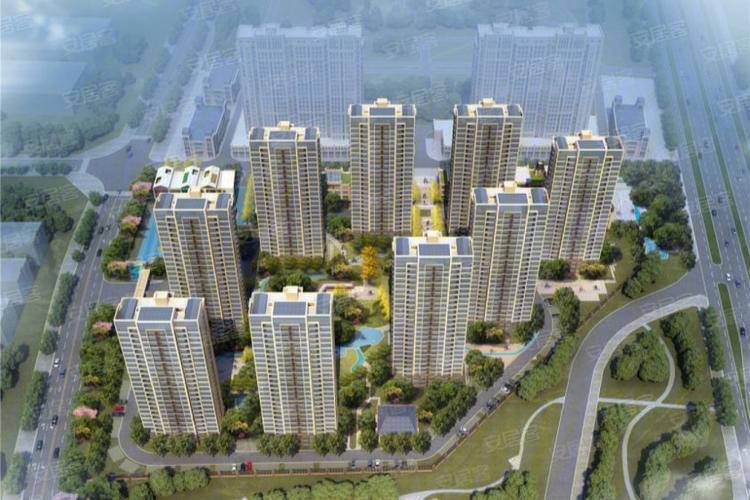 春江花月|淮上花中月,天下共此时-蚌埠安居客