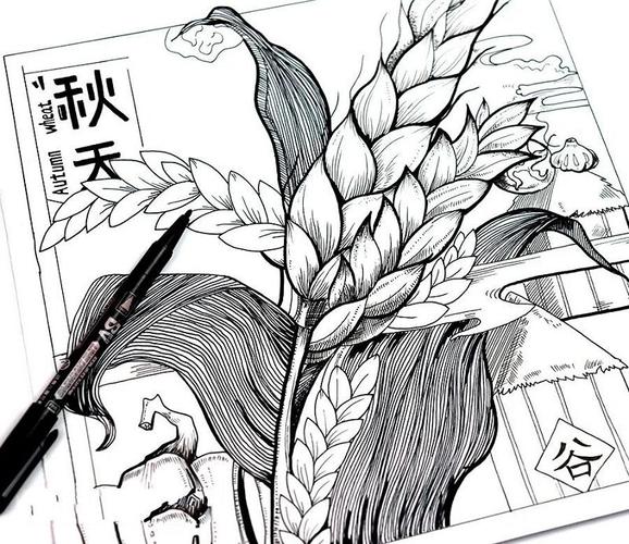 艺术设计线描画金色秋天丰收的季节教程