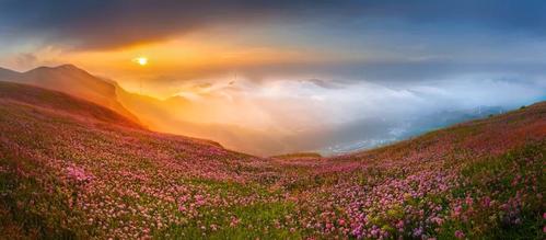 图丨《毕节市百里杜鹃风景区》摄影:聂绍钧