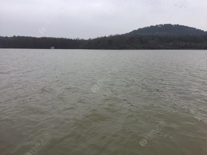 3月17日大战镇江上坝水库 - 钓鱼之家