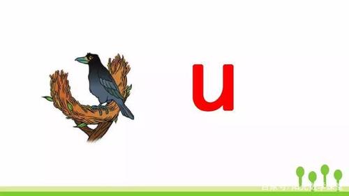 部编版一年级语文上册汉语拼音2iuüyw知识点图文解读