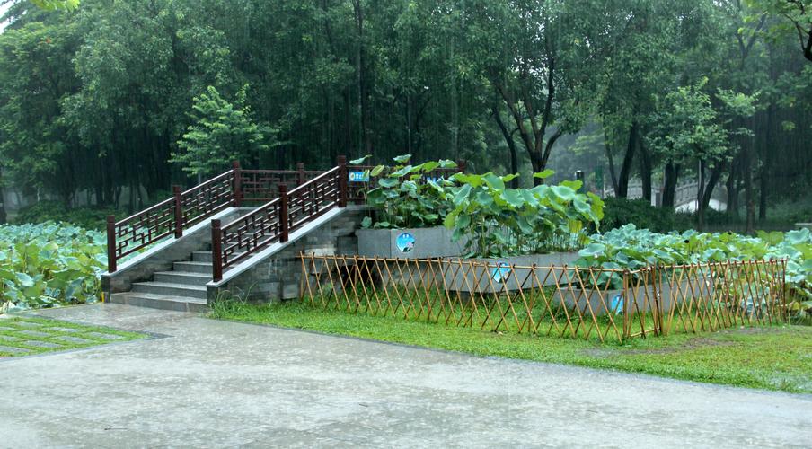 雨中即景