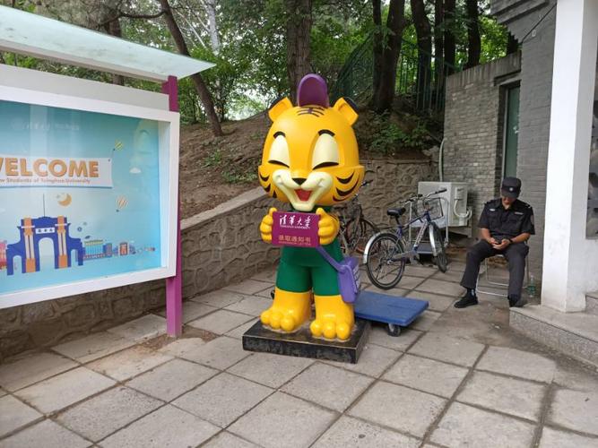 这是一只面带微笑,充满活力的小老虎,听说这是吉祥物,快来快来沾沾