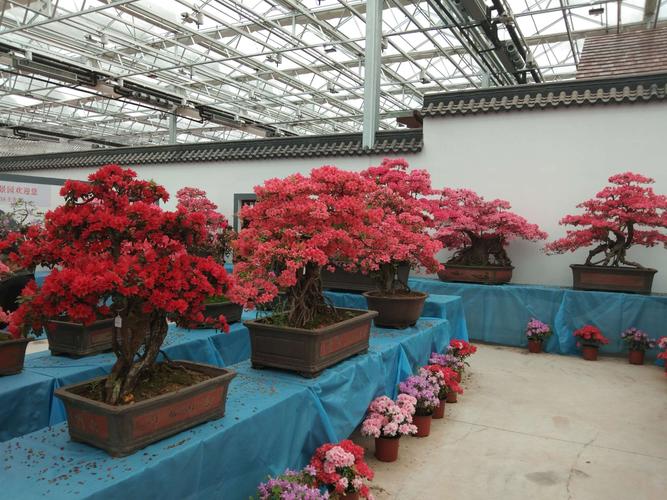 第十六届中国杜鹃花博览园