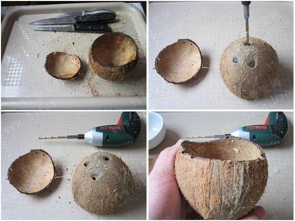一招教你轻易制作椰子壳花盆 - 废物利用手工diy小制作 - 51费宝网