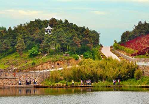 多人出行 持护照 持护照 随行人员 出行总人数 大金山风景区门票 ￥30