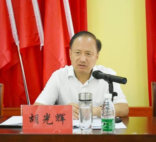 海南省人大常委会副主任胡光辉率队赴乐东县万冲镇卡法村开展抓党建促
