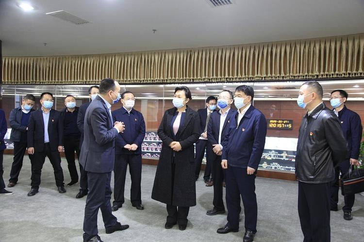 湖南省委组织部副部长肖百灵一行到司调研疫情防控和复工复产工作